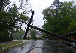 Downed Power Line