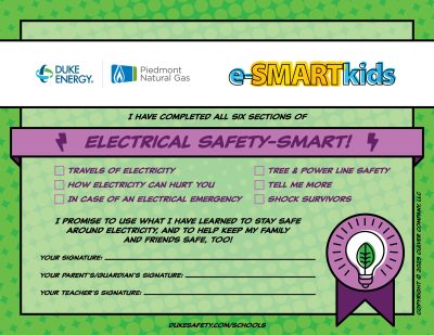 Electrical Safety-SMART certificate